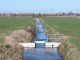 Drainage Water Management