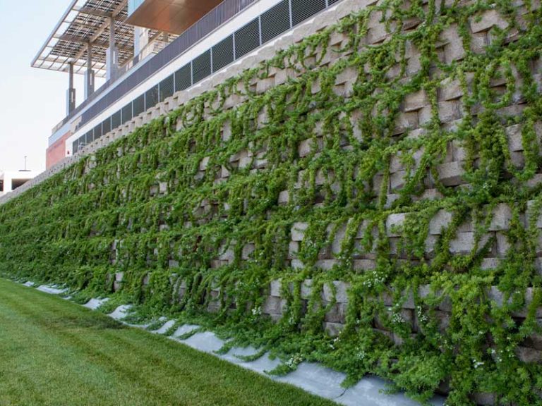 Eco-Friendly Retaining Wall