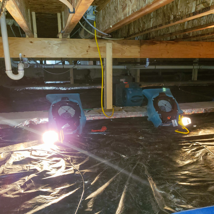 Crawl Space Repair Near Me for Damp Odors